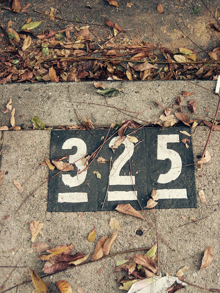 IMG 6033 730315