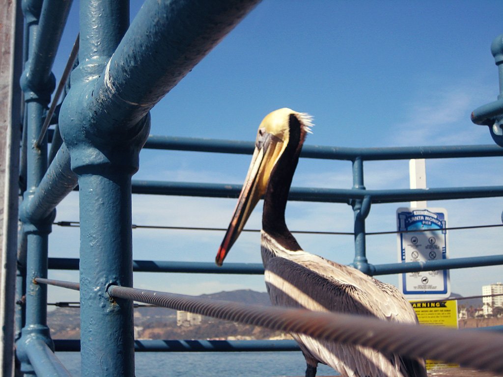 IMG 6080 717964