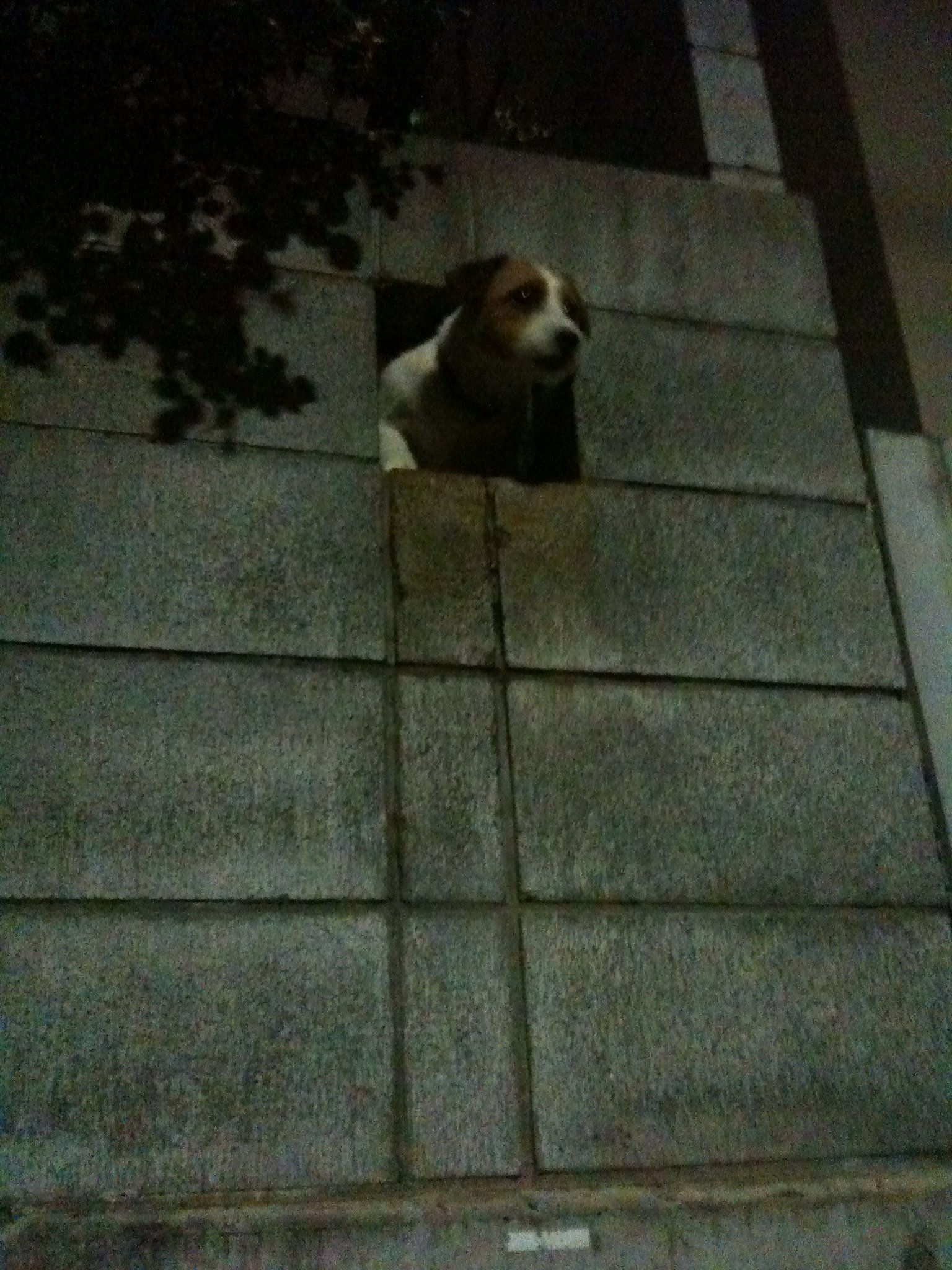 IMG 1283