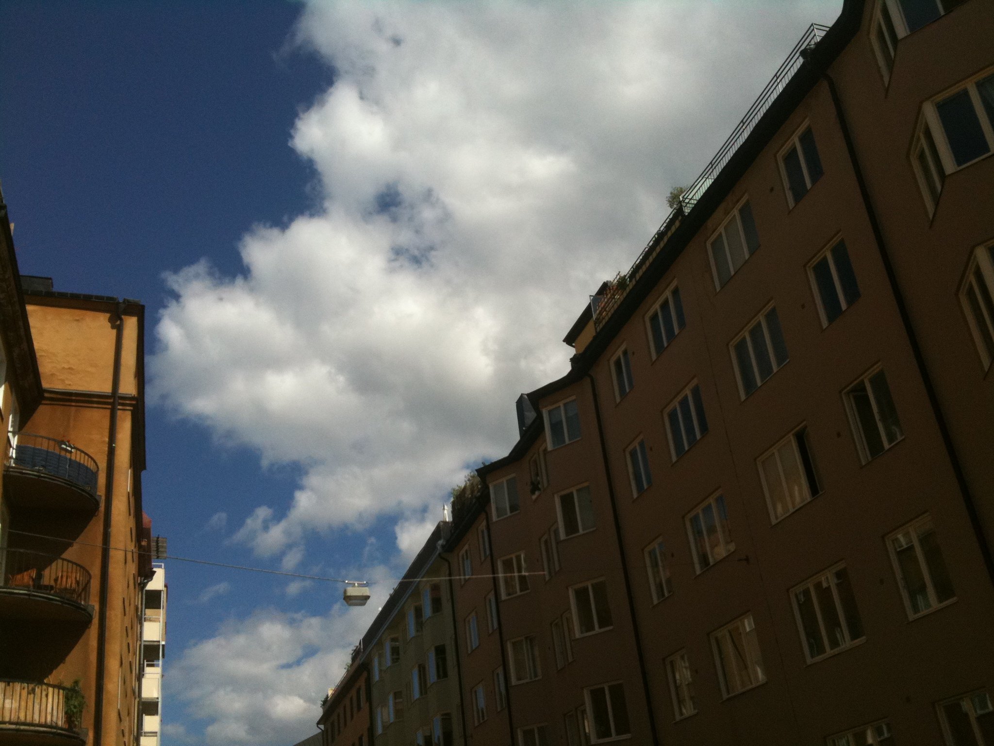 IMG_3325.JPG IMG 3325