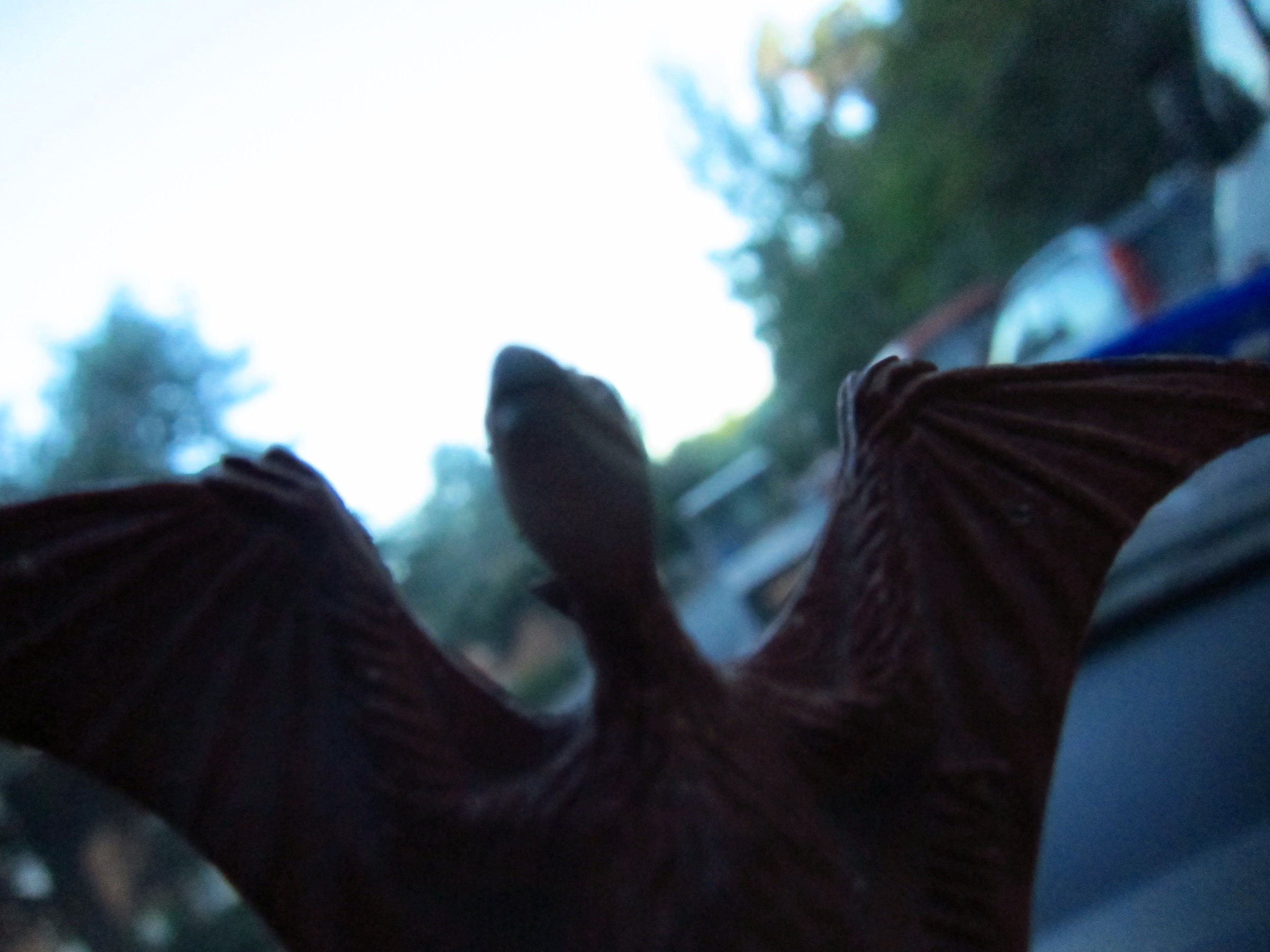 IMG_1119.JPG IMG 1119
